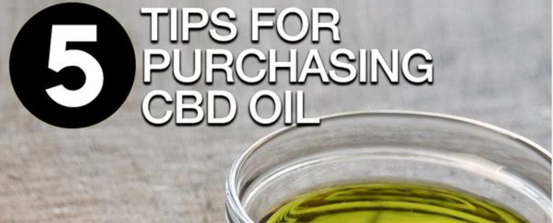 Banner showing headline ‘5 Tips for Purchasing CBD Oil’ and a glass bowl of green CBD oil on a wooden table
