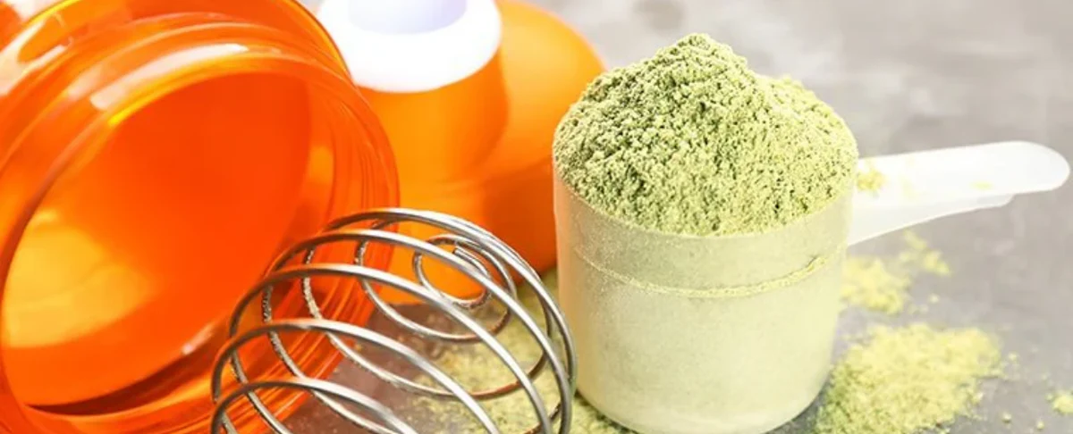 A scoop of green hemp protein powder next to an orange shaker bottle and whisk ball.