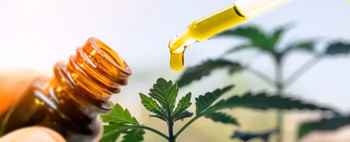 A dropper dispensing oil over a cannabis plant, representing adaptogens and CBD.