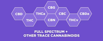 Diagram showing cannabinoids: CBD, CBG, THC, CBN, CBC, THCa, and THCv with the label 'FULL SPECTRUM + OTHER TRACE CANNABINOIDS'.