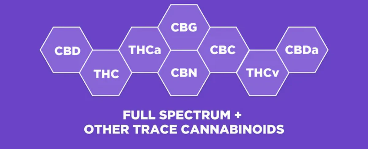 Diagram showing full spectrum cannabinoids, listing CBD, THC, CBG, CBN, THCa, CBC, THCv, CBDa
