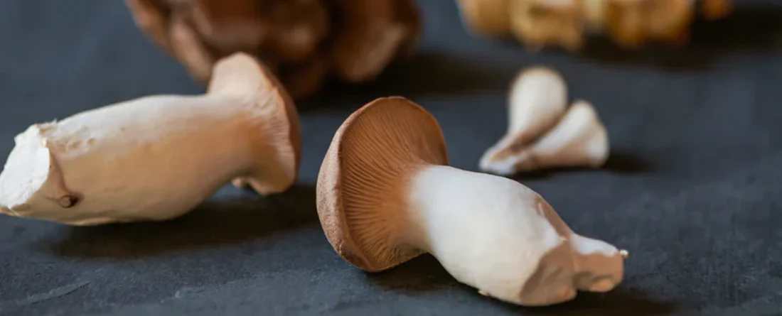 Fresh assorted mushrooms arranged on a dark textured surface