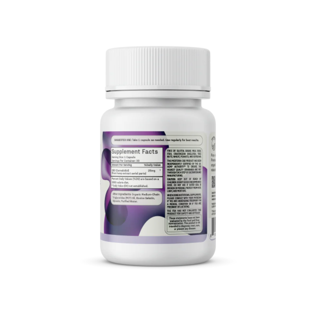 Back view of Daily Relief CBD Isolate Capsules bottle showing the Supplement Facts panel and purple label artwork on white background