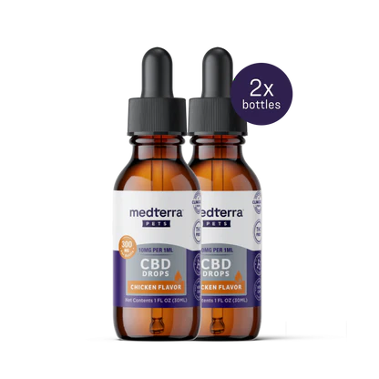 Two amber glass dropper bottles of Medterra Daily Relief Pet CBD Tincture, 1 fl oz each, are shown with a "2x bottles" label on a white background. These drops support joint health and wellness in pets.