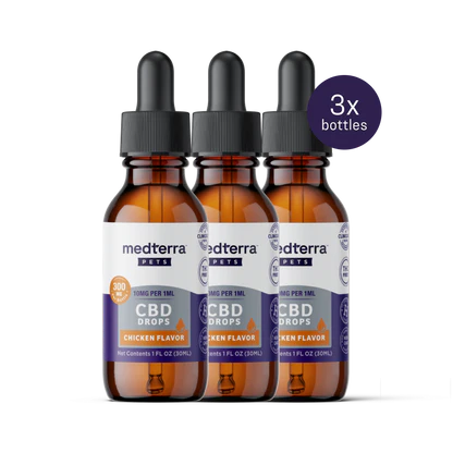 Three brown dropper bottles of Medterra Daily Relief Pet CBD Tincture, chicken flavor, each labeled 10mg per 1mL, with a “3x bottles” text bubble—CBD for pets to support joint health.