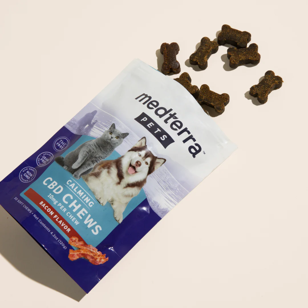Angled flat-lay of Medterra Pet Calming CBD Chews pouch, bacon flavor 10 mg per chew, bone-shaped treats on light background