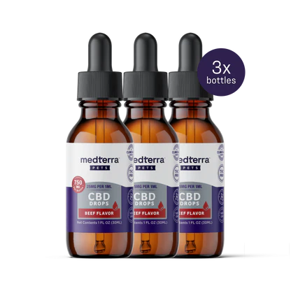 Front view of three Medterra Daily Relief Pet CBD Drops beef flavor 750 mg bottles showing labels and a purple 3x bottles badge on white background