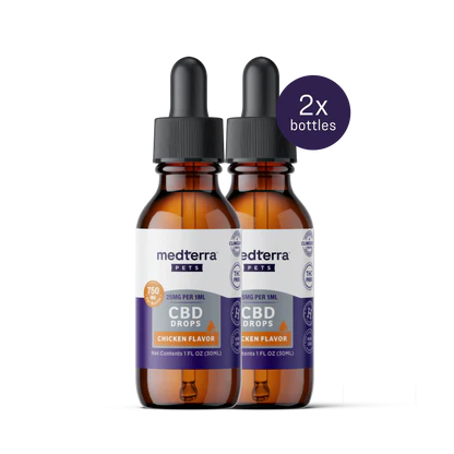 Two amber dropper bottles labeled "Medterra Daily Relief Pet CBD Tincture" (1 fl oz/30ml each) support your pet's joint health. A purple circle in the upper right marks "2x bottles." The perfect CBD choice for pets.
