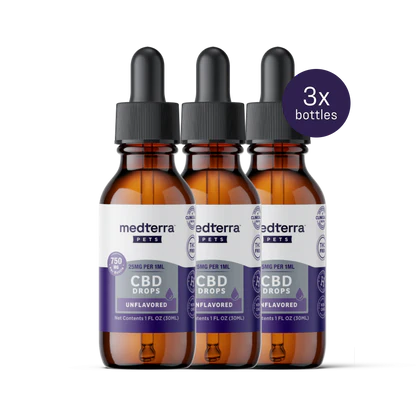 Three amber bottles of Medterra Daily Relief Pet CBD Tincture, each with a dropper cap, are shown side by side. Labels note “3x bottles.” Each provides 750mg CBD (25mg/mL), supporting joint health and overall pet wellness.