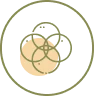 Product variety icon