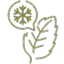 Menthol leaf with snowflake icon
