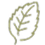 Menthol cooling icon