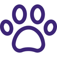 Pet mobility paw icon