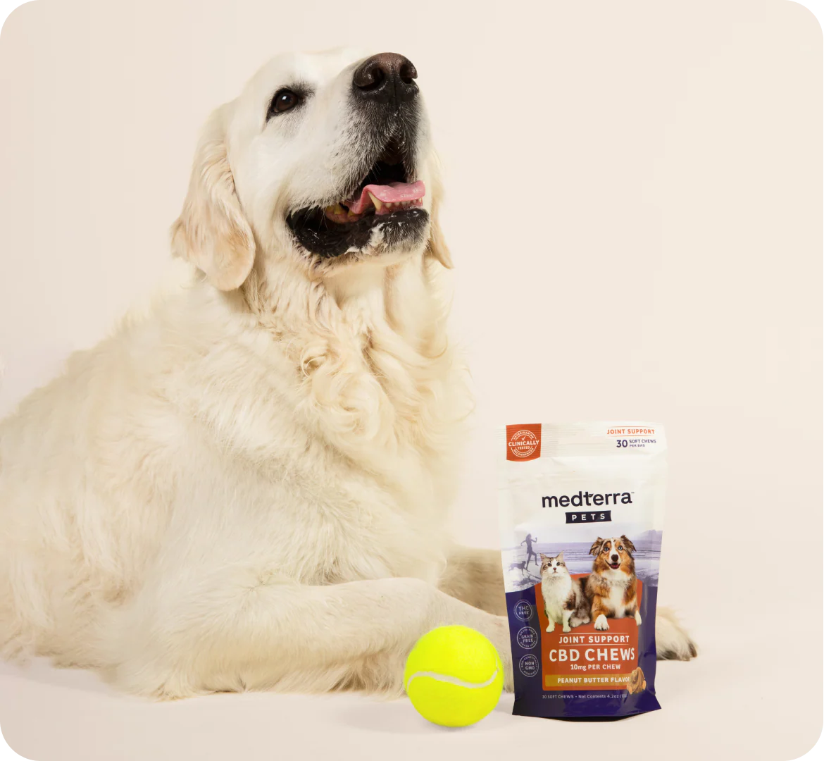 Front view of Pet CBD Joint Support Chews pouch (10 mg, peanut butter) with golden retriever and tennis ball