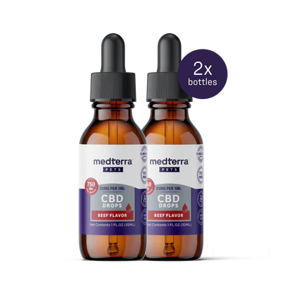 Two brown glass bottles of Medterra Daily Relief Pet CBD Tincture with beef flavor and dropper caps are shown side by side. A purple circle reads "2x bottles." Each 1 fl oz bottle offers 25mg CBD/mL to support your pet’s joint health.