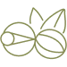 Guarana icon