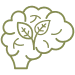 Brain with a leaf symbol representing natural L-theanine supplement