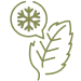 Green leaf with a small square containing a snowflake symbol above it, representing menthol.