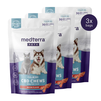 Front view of three Medterra Pets Calming CBD Chews pouches showing bacon flavor, 10 mg per chew, 30 soft chews per bag, Clinically Tested badge