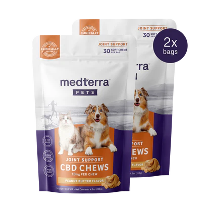 Front view of two Medterra Pets Joint Support CBD Chews bags showing peanut butter flavor, 30 soft chews per bag, 10 mg per chew on white background