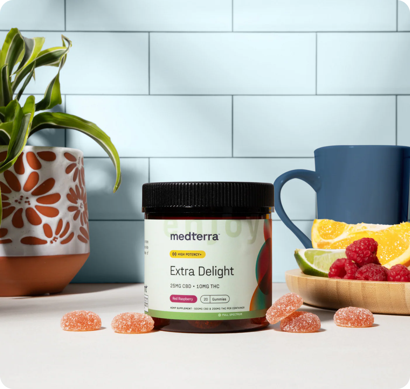 A jar of Medterra Extra Delight 10mg THC Gummies sits on a table with scattered gummies, a blue mug, a plate of orange and lime slices with raspberries, and a potted plant in front of a tiled wall.