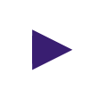 Play button icon